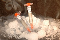 Electrically conductive adhesives