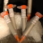 Polytec premixed and frozen electrically conductive adhesives