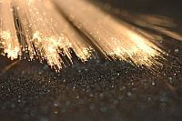 EP642 Optical adhesive by Polytec PT