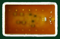 EP655 Optical Adhesives by Polytec PT