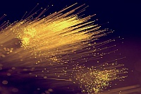 EP 630 Optical adhesive by Polytec PT