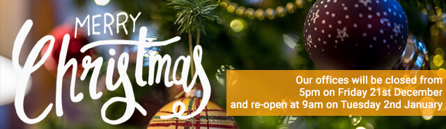 Merry Christmas from us to you