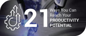 21 Ways to Reach Your Productivity Potential button